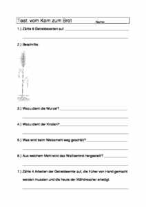 Vorschau themen/brot/Lernkontrolle vom Korn zum Brot.pdf